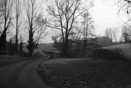 IMG_0308BW.jpg